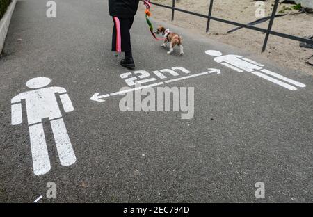 Dublin, Irlande. 11 février 2021. Une personne avec un animal de compagnie se promoit devant un panneau social de distanciation peint sur le sol dans la région de D?n Laoghaire pendant les restrictions de niveau 5 Covid-19. Le 11 février 2021, le ministère de la Santé a signalé 862 nouveaux cas de COVID-19 et 52 décès. Crédit : SOPA Images Limited/Alamy Live News Banque D'Images