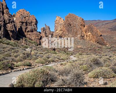 Trail autour du rock formations à Roques de Garcia dans le Parc National du Teide à Tenerife, Îles Canaries, Espagne Banque D'Images