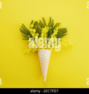 Fleur de mimosa jaune en cône gaufré sur fond jaune. Flat lay, vue de dessus Banque D'Images