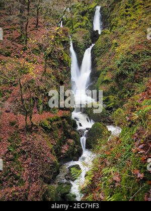 Eau en cascade sur la Force de stock Ghyll, près d'Ambleside, Lake District Banque D'Images