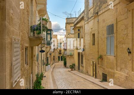 Rue pavée médiévale de marche décorée de maisons en pierre et de plantes dans des pots près des bâtiments à Birgu ou Vittoriosa, Malte Banque D'Images