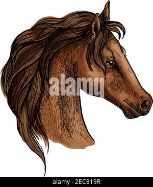 Portrait de la tête de cheval. Fière mustang brune avec de longues lamanes ondulées et des yeux pensifs réfléchis Illustration de Vecteur