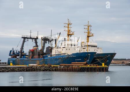 Hafnafjordur Islande - octobre 28. 2018: Chalutiers industriels russes dans le port Banque D'Images