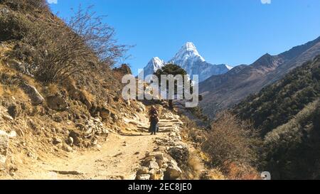 Tengboche, Népal - octobre 2018: AMA Dablam sur le sentier du camp de base de l'Everest, femme sherpa locale transportant des bois au village, paysage dans la montagne Banque D'Images