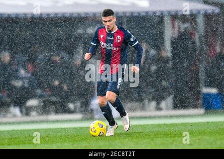 Bologne, Italie. 12 février 2021. Bologna, Italie, Stade Renato Dall'Ara, 12 février 2021, Nicolas Dominguez (FC de Bologne) pendant le FC de Bologne vs Benevento Calcio - football italien série A Match Credit: Alessio Marini/LPS/ZUMA Wire/Alamy Live News Banque D'Images