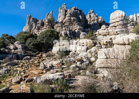 Vue sur de nombreux chèvres de montagne ibériques sauvages dans l'El Parc naturel de Torcal en Andalousie Banque D'Images