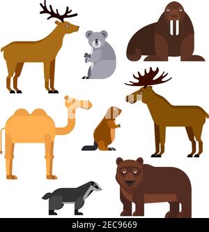 Icônes isolées de dessins animés plats d'animaux sauvages. Vector zoo emblèmes de morse, koala, chameau, wapiti, castor, ours, cerf, blaireau pour infographie, jardin d'enfants lo Illustration de Vecteur