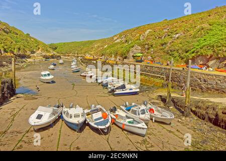 Porthclais port près de la ville de St David's, Pembrokeshire, Pays de Galles, Royaume-Uni. Banque D'Images