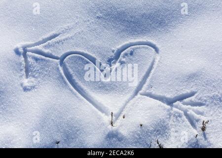 Réserve naturelle de Westruper Heide, NRW, Allemagne. 13 février 2021. Les gens ont attiré des petits coeurs, des smileys et d'autres messages pour la Saint-Valentin demain dans la neige. Beaucoup de randonneurs sont au beau soleil tandis que les plantes de bruyère de Westruper Heide sont encore couvertes de neige. Credit: Imagetraceur/Alamy Live News Banque D'Images