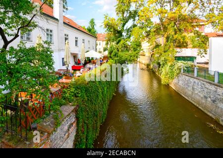 Un café en bord de mer avec patio extérieur le long de l'un des canaux luxuriants du jardin dans le quartier de l'île de Kampa à Prague, en Tchéquie. Banque D'Images