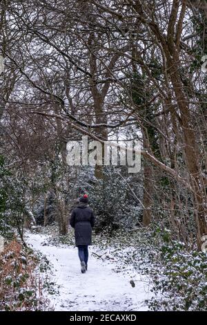 Vue arrière d'une femme portant des vêtements d'hiver marchant le long d'un sentier enneigé dans les bois, au Royaume-Uni Banque D'Images