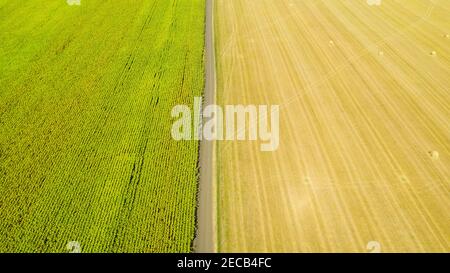 Drone aérien de paysage survolant de nombreux rouleaux de paille sur un champ agricole d'été dans la soirée après la récolte des récoltes. Banque D'Images