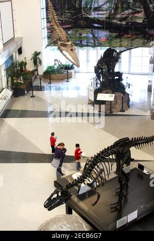 Visiteurs dans la salle de la vie ancienne au musée d'histoire naturelle de Virginie à Martinsville, va, Etats-Unis Banque D'Images