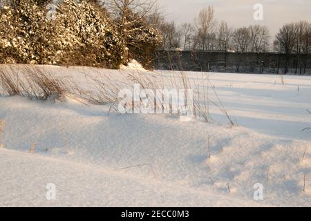 Début de l'hiver à Bünde. Tout est couvert de neige profonde. Banque D'Images