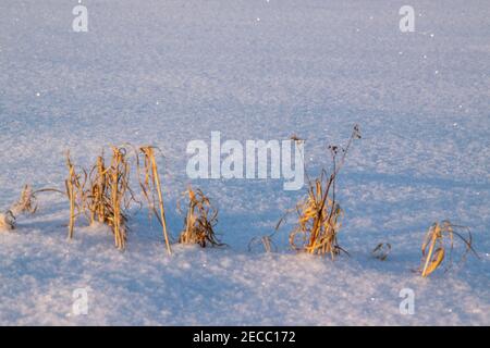 Début de l'hiver à Bünde. Tout est couvert de neige profonde. Banque D'Images