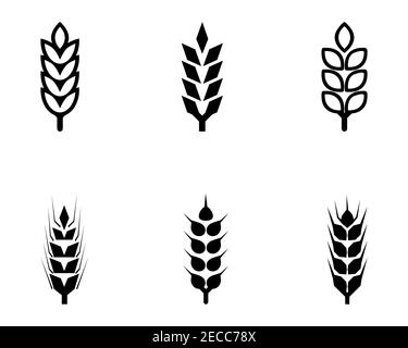 ensemble d'oreilles de blé abstrait noires dessinées à la main Illustration de Vecteur