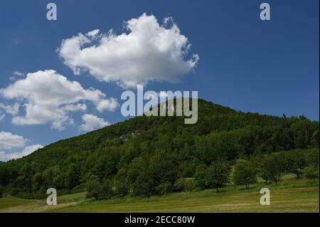 Colline avec beaucoup d'arbres sur une journée ensoleillée avec ciel bleu et nuages Banque D'Images