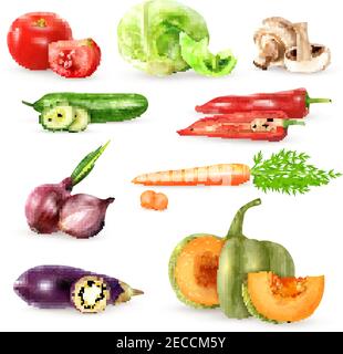 Collection de symboles décoratifs de légumes avec concombres aubergines oignons champignons carotte images de tomates de chou dans un style réaliste vecteur isolé illust Illustration de Vecteur