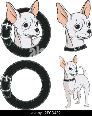 Jeu d'illustrations de couleur avec un Chihuahua dans un collier. Objets vectoriels isolés. Illustration de Vecteur