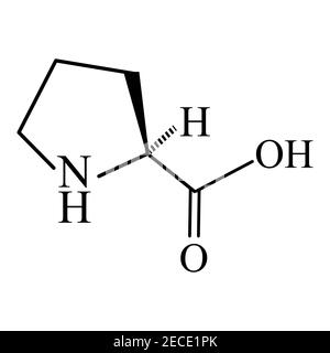Proline d'acides aminés. Formule moléculaire chimique proline acide aminé. Illustration vectorielle sur un arrière-plan isolé Illustration de Vecteur