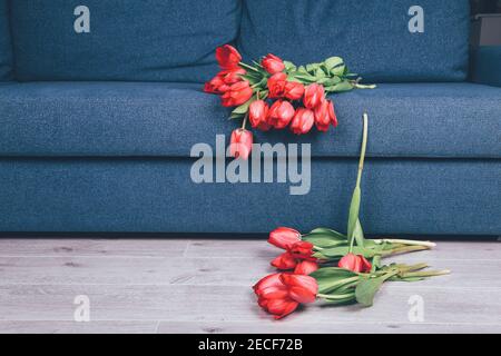 Tulipes sur le sol. Bouquet de tulipes sur le canapé tombant sur le sol Banque D'Images