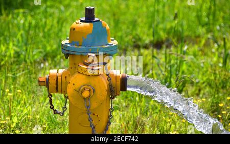 La centrale incendie précipite l'eau lorsqu'elle libère de la pression et évacue les tuyaux d'eau. L'herbe entoure la borne d'hydratation. Le capuchon est posé sur la borne d'eau. Banque D'Images