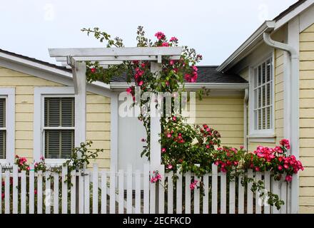 Entrée à la maison en bois jaune gaie avec une clôture de piquetage blanche et une porte avec un arbre avec des roses sauvages en croissance en avant-plan Banque D'Images