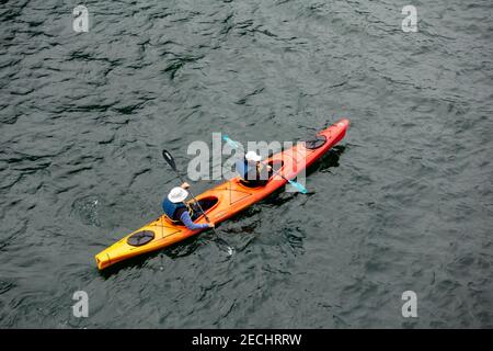 Kayaks de mer sur l'offre de rêve de Chicagod dans le sud-est de l'Alaska Une façon intime de découvrir les eaux arctiques de l'Alaska côte Banque D'Images