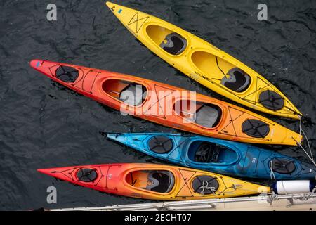 Kayaks de mer sur l'offre de rêve de Chicagod dans le sud-est de l'Alaska Une façon intime de découvrir les eaux arctiques de l'Alaska côte Banque D'Images