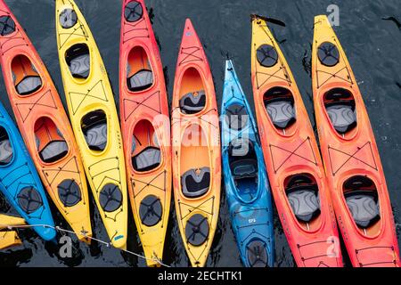 Kayaks de mer sur l'offre de rêve de Chicagod dans le sud-est de l'Alaska Une façon intime de découvrir les eaux arctiques de l'Alaska côte Banque D'Images