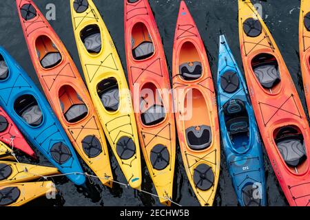 Kayaks de mer sur l'offre de rêve de Chicagod dans le sud-est de l'Alaska Une façon intime de découvrir les eaux arctiques de l'Alaska côte Banque D'Images