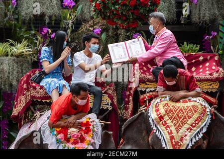 Pattaya, Chonburi, Thaïlande. 14 février 2021. Plusieurs dizaines de couples se sont réunis dans le parc du jardin tropical Noong Nooch de Pattaya pour se marier légalement lors d'une cérémonie de groupe le jour de la Saint-Valentin. Les couples attendaient leur tour pour grimper sur le dos des éléphants d'où ils recevraient leur nouveau certificat de mariage d'un responsable local également sur dos d'éléphant. Credit: Adryel Talamantes/ZUMA Wire/Alamy Live News Banque D'Images