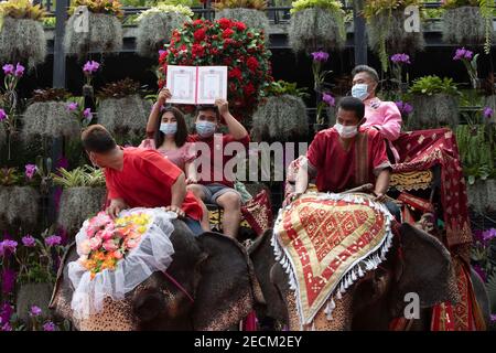 Pattaya, Chonburi, Thaïlande. 14 février 2021. Plusieurs dizaines de couples se sont réunis dans le parc du jardin tropical Noong Nooch de Pattaya pour se marier légalement lors d'une cérémonie de groupe le jour de la Saint-Valentin. Les couples attendaient leur tour pour grimper sur le dos des éléphants d'où ils recevraient leur nouveau certificat de mariage d'un responsable local également sur dos d'éléphant. Credit: Adryel Talamantes/ZUMA Wire/Alamy Live News Banque D'Images