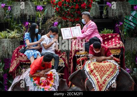 Pattaya, Chonburi, Thaïlande. 14 février 2021. Plusieurs dizaines de couples se sont réunis dans le parc du jardin tropical Noong Nooch de Pattaya pour se marier légalement lors d'une cérémonie de groupe le jour de la Saint-Valentin. Les couples attendaient leur tour pour grimper sur le dos des éléphants d'où ils recevraient leur nouveau certificat de mariage d'un responsable local également sur dos d'éléphant. Credit: Adryel Talamantes/ZUMA Wire/Alamy Live News Banque D'Images