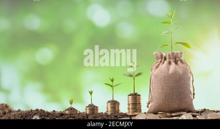 Pièces de monnaie turques dans un sac de lin. Jeunes plantes qui poussent sur des pièces. Investissement et financement Banque D'Images