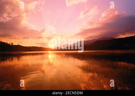 Connery Pond à Sunrise, Adirondack Park, New York, États-Unis Banque D'Images