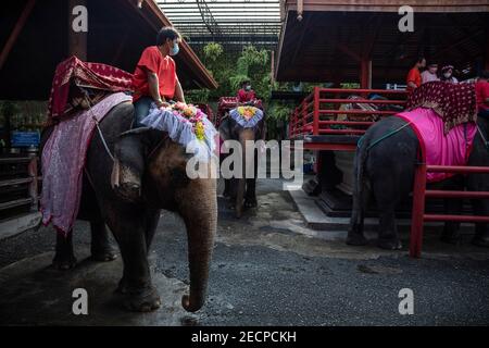 Thaïlande. 14 février 2021. Des éléphants aux guérissons attendent de venir chercher des couples, avant une cérémonie de mariage conjointe avec des éléphants et une danse sur le thème de la jungle aux jardins de Nong Nooch à Pattaya, en Thaïlande, le dimanche 14 février 2021.le soin et le traitement des éléphants dans de nombreux parcs et sanctuaires est controversé, Et la Thaïlande a souvent fait l'objet de critiques et de débats pour avoir permis des pratiques douteuses et l'abus pur et simple d'éléphants. Les visiteurs sont encouragés à faire leurs recherches s'ils ont l'intention d'interagir avec les éléphants. Credit: Andre Malerba/ZUMA Wire/Alay Live News Banque D'Images