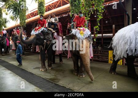 Thaïlande. 14 février 2021. Les couples s'assoient sur des éléphants décorés lors d'une cérémonie de mariage conjointe avec des éléphants et une danse sur le thème de la jungle aux jardins de Nong Nooch à Pattaya, en Thaïlande, le dimanche 14 février 2021.le soin et le traitement des éléphants dans de nombreux parcs et sanctuaires est controversé, Et la Thaïlande a souvent fait l'objet de critiques et de débats pour avoir permis des pratiques douteuses et l'abus pur et simple d'éléphants. Les visiteurs sont encouragés à faire leurs recherches s'ils ont l'intention d'interagir avec les éléphants. Credit: Andre Malerba/ZUMA Wire/Alay Live News Banque D'Images