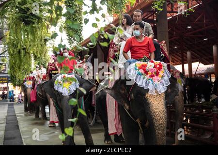 Thaïlande. 14 février 2021. Les couples s'assoient sur des éléphants décorés lors d'une cérémonie de mariage conjointe avec des éléphants et une danse sur le thème de la jungle aux jardins de Nong Nooch à Pattaya, en Thaïlande, le dimanche 14 février 2021.le soin et le traitement des éléphants dans de nombreux parcs et sanctuaires est controversé, Et la Thaïlande a souvent fait l'objet de critiques et de débats pour avoir permis des pratiques douteuses et l'abus pur et simple d'éléphants. Les visiteurs sont encouragés à faire leurs recherches s'ils ont l'intention d'interagir avec les éléphants. Credit: Andre Malerba/ZUMA Wire/Alay Live News Banque D'Images