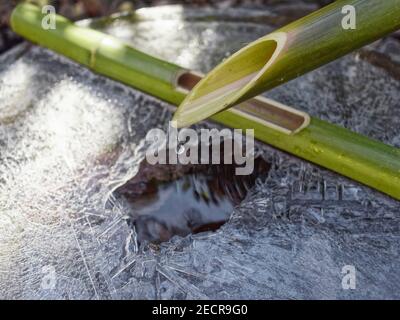 Un objet en bambou avec de la glace dans un jardin japonais, Tokyo. Banque D'Images