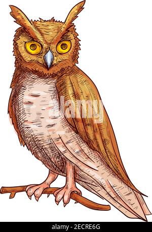Hibou nocturne avec de grands yeux jaunes assis sur la branche de l'arbre. Icône d'esquisse de couleur isolée vectorielle pour les éléments de la décoration d'Halloween Illustration de Vecteur
