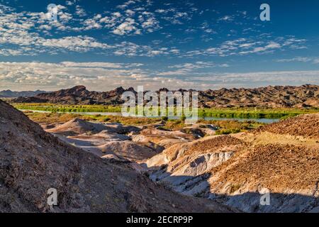 Trigo Mountains en Arizona, Red Rock Lake, marécages, sur le fleuve Colorado, zone de loisirs de l'État de Picacho, désert de Sonoran, près de Yuma, Californie, États-Unis Banque D'Images