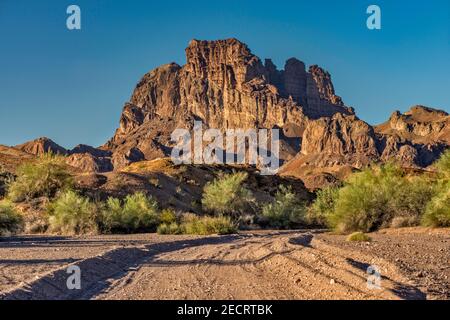 Picacho Peak, Chocolate Mountains, arbres Mesquite, vue de Picacho Road, zone de loisirs de l'État de Picacho, désert de Sonoran, près de Yuma, Californie, États-Unis Banque D'Images