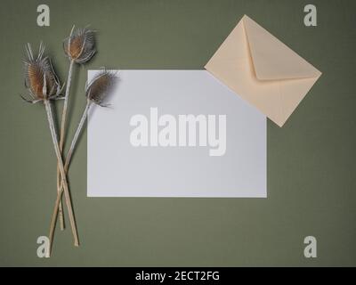 Maquette de carte d'invitation sur fond vert. Carte de vœux blanche vierge avec enveloppe beige et landes séchées. Pose à plat, vue de dessus. Banque D'Images