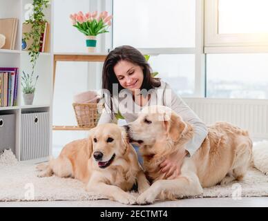 Golden Retriever chiens à côté de la fille Banque D'Images