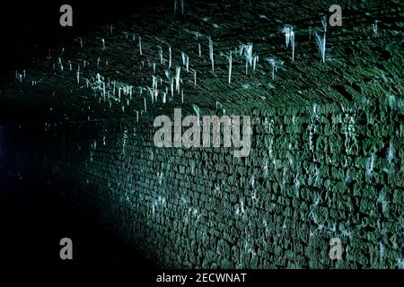 Un tunnel minier abanadoné à Parlington Woods, Leeds, avec des glaces suspendues au toit Banque D'Images