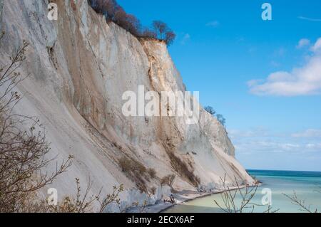 Mons Klint Cliffs au Danemark Banque D'Images