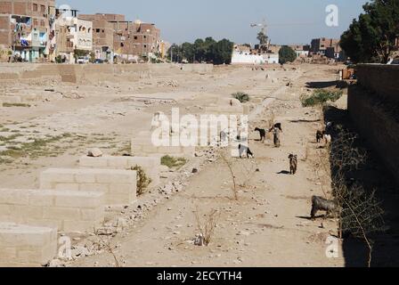 Sphinx Alley dans le centre de Louxor en Egypte Banque D'Images