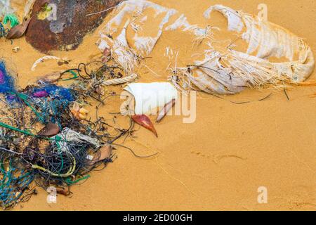 Déchets sur la plage de sable. Déchets sur le bord de mer. Problème écologique. Plastique en mer. Nettoyage du bord de mer. Tasse en plastique et ferraille de filet de pêche sur la rive. Environ Banque D'Images