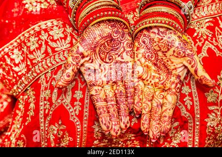 Close up of mehendi sur la main de la mariée, Maurice, Afrique du Sud Banque D'Images